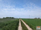 Rolny na sprzedaż - Budziszewko, Rogoźno, Obornicki, 44 000 m², 299 900 PLN, NET-SADI305929-305929