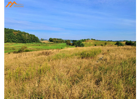 Działka na sprzedaż - Ławy, Myślibórz, Myśliborski, 1500 m², 120 000 PLN, NET-DAW306303-306303