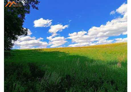 Działka na sprzedaż - Kiszewo, Oborniki, Obornicki, 15 000 m², 449 000 PLN, NET-ZUPA305928-306322