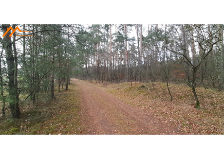 Działka na sprzedaż - Sycyn, Oborniki, Obornicki, 1400 m², 1 549 900 PLN, NET-ZUPA305968-306329