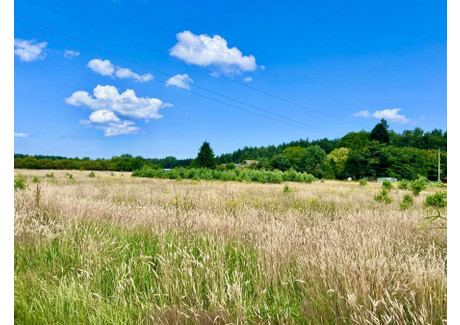 Działka na sprzedaż - Domysłów, Wolin, Kamieński, 1950 m², 269 000 PLN, NET-FER2025306254-306254