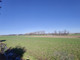 Rolny na sprzedaż - Strzeżewko, Kamień Pomorski, Kamieński, 4752 m², 149 990 PLN, NET-DGW563305963-305963