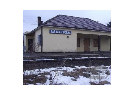 Lokal do wynajęcia - Tarnawa Dolna, Zagórz, Sanocki, 64 m², 720 PLN, NET-22620