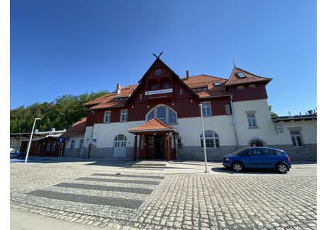 Lokal do wynajęcia - Dworcowa Szklarska Poręba, Jeleniogórski (pow.), 358 m², 5750 PLN, NET-100/8331/OLW-1