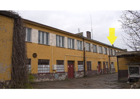 Lokal do wynajęcia - Moniuszki Oleśnica, Oleśnicki (Pow.), 283 m², 3100 PLN, NET-220/8331/OLW