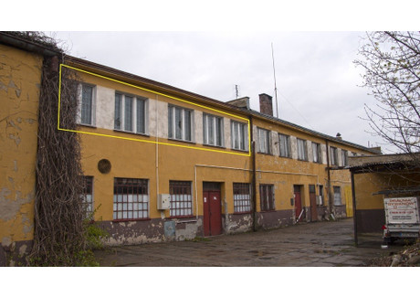 Obiekt do wynajęcia - Oleśnica, Oleśnicki, 244 m², 3416 PLN, NET-191/8331/OLW