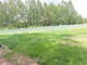 Rolny na sprzedaż - Chełst, Miński, 11 390 m², 92 000 PLN, NET-G-11666-13