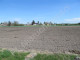 Rolny na sprzedaż - Jeruzal, Miński, 1600 m², 51 000 PLN, NET-G-4068-13/E139