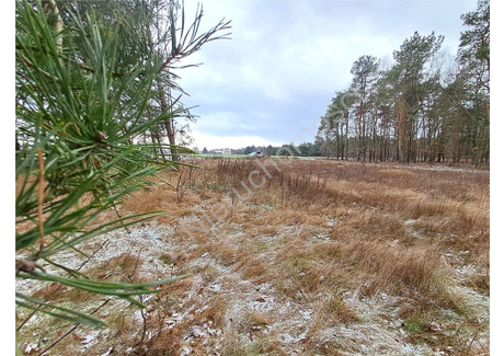 Działka na sprzedaż - Leontyna, Miński, 1200 m², 130 000 PLN, NET-G-82955-13