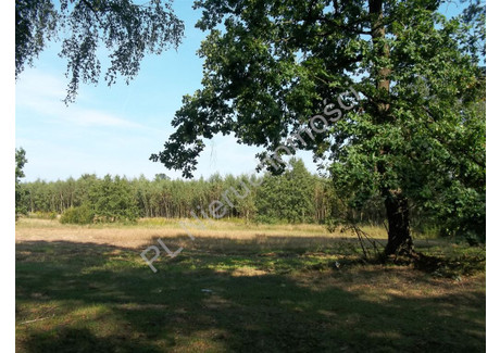 Działka na sprzedaż - Cisówka, Miński, 3200 m², 66 500 PLN, NET-G-51177-0