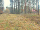 Leśne na sprzedaż - Osęczyzna, Miński, 4068 m², 275 000 PLN, NET-G-81682-13