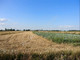 Rolny na sprzedaż - Wielgolas Duchnowski, Miński, 16 000 m², 1 540 000 PLN, NET-G-10994-13