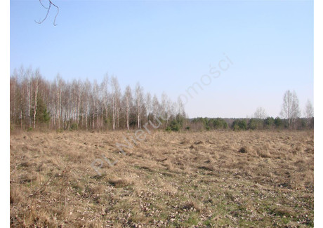 Działka na sprzedaż - Piotrkowice, Grodziski, 30 848 m², 3 084 800 PLN, NET-G-86179-5