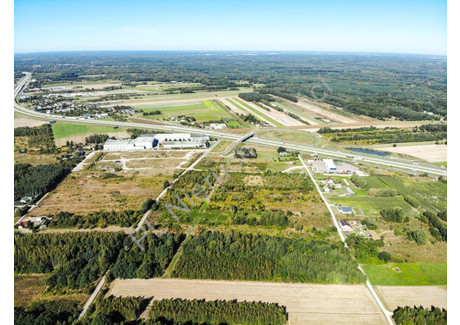 Działka na sprzedaż - Słubica A, Grodziski, 11 000 m², 2 200 000 PLN, NET-G-89887-6