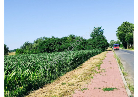 Działka na sprzedaż - Izdebno Kościelne, Grodziski, 40 300 m², 2 015 000 PLN, NET-G-90326-6