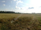 Rolny na sprzedaż - Krze Duże, Żyrardowski, 40 600 m², 3 999 912 PLN, NET-G-49770-0