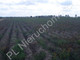 Rolny na sprzedaż - Chlebnia, Grodziski, 95 000 m², 14 250 000 PLN, NET-G-69017-0/E25