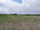 Rolny na sprzedaż - Juliopol, Młodzieszyn, Sochaczewski, 70 460 m², 775 060 PLN, NET-RGN-GS-230