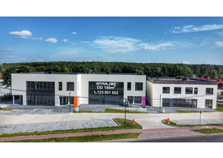 Lokal do wynajęcia - Armii Krajowej Podlesie, Katowice, 320 m², 12 800 PLN, NET-898160