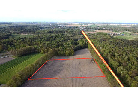 Działka na sprzedaż - Rybnicka Wilcza, Pilchowice, 20 900 m², 2 905 100 PLN, NET-202647