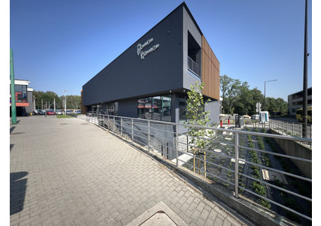 Lokal do wynajęcia - Damrota Tychy, 151,65 m², 7583 PLN, NET-548454