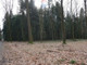Leśne na sprzedaż - Budzów, Suski, 1500 m², 20 000 PLN, NET-5497/3123/OGS