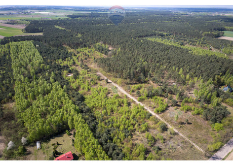 Działka na sprzedaż - Ludwikowo, Joniec, Płoński, 75 400 m², 7 464 600 PLN, NET-210/7675/OGS