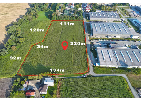 Działka na sprzedaż - Bażanowice, Goleszów, Cieszyński, 28 784 m², 8 059 520 PLN, NET-5702/3123/OGS