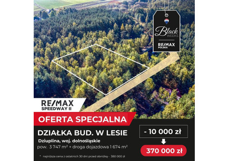 Działka na sprzedaż - Brzozowa Dziuplina, Jelcz-Laskowice, Oławski, 3747 m², 370 000 PLN, NET-106/9148/OGS