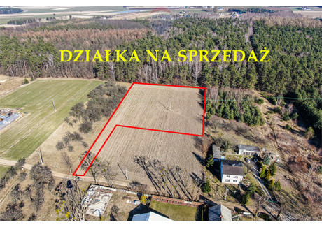 Działka na sprzedaż - Załuski, Płoński, 6002 m², 279 000 PLN, NET-380/3992/OGS