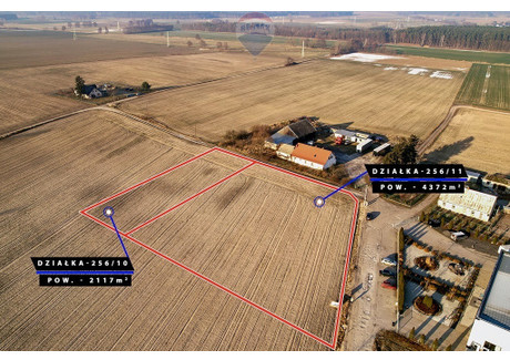 Działka na sprzedaż - Kolonia Sława, Wschowski, 4372 m², 490 000 PLN, NET-126/9148/OGS