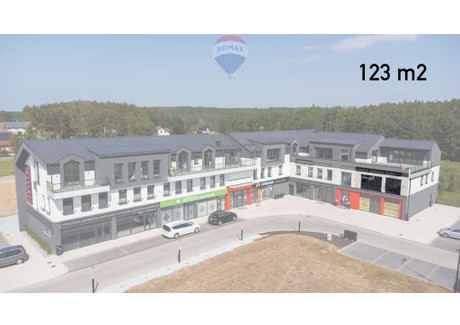 Lokal do wynajęcia - Dzierżążno, Kartuzy, Kartuski, 123 m², 6765 PLN, NET-35/5569/OLW