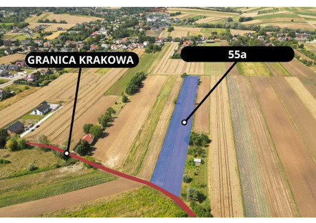 Działka na sprzedaż - Krzysztoforzyce, Kocmyrzów-Luborzyca, Krakowski, 5500 m², 935 000 PLN, NET-2528/2680/OGS