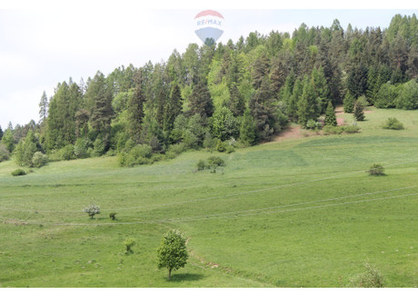 Działka na sprzedaż - Krośnica, Krościenko Nad Dunajcem, Nowotarski, 8049 m², 198 000 PLN, NET-2601/2680/OGS