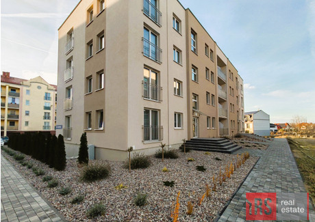 Mieszkanie do wynajęcia - Wyzwolenia Turek, Turecki, 45 m², 2000 PLN, NET-RS-MW-794018