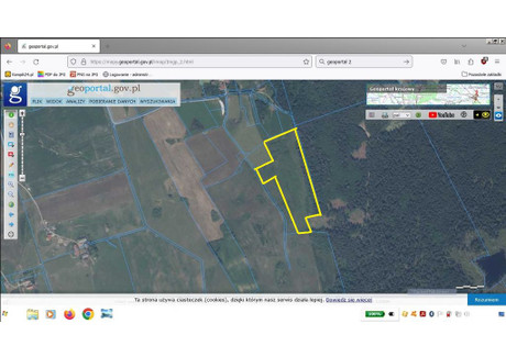 Działka na sprzedaż - Kostrzewy , 40 000 m², 180 000 PLN, NET-15268/02442-PG