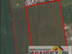 Działka na sprzedaż - Wieś, Dźwierzuty, 17 000 m², 100 000 PLN, NET-25397/01782S/2017