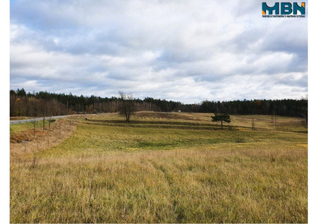 Działka na sprzedaż - Tuchlin, Orzysz, Piski, 65 579 m², 259 000 PLN, NET-MBN-GS-1232