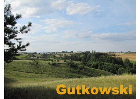 Działka na sprzedaż - Łąki Bratiańskie Nowe Miasto Lubawskie, Nowomiejski (Pow.), 3385 m², 49 000 PLN, NET-3671_K