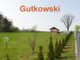 Rolny na sprzedaż - Nejdyki, Iława (gm.), Iławski (pow.), 3006 m², 159 000 PLN, NET-3801