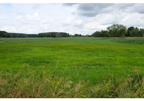 Działka na sprzedaż - Nad Łyną Bartąg, Stawiguda (Gm.), Olsztyński (Pow.), 27 517 m², 2 700 000 PLN, NET-2626