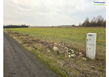 Działka na sprzedaż - Piotrków Trybunalski, Piotrków Trybunalski M., 1253 m², 165 000 PLN, NET-GS-14142