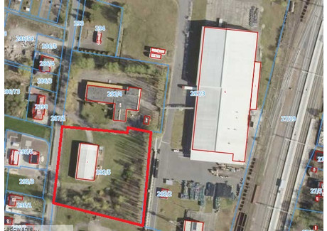 Magazyn, hala do wynajęcia - Rolna Rogoźno, Rogoźno (gm.), Obornicki (pow.), 650 m², 13 000 PLN, NET-165