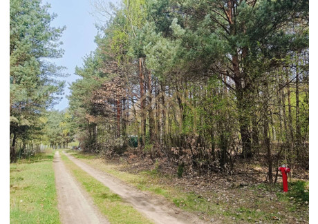 Działka na sprzedaż - Przyleśna Ojrzanów, Żabia Wola, Grodziski, 2594 m², 480 000 PLN, NET-WE342511