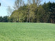 Rolny na sprzedaż - Kozjaty, Topólka, Radziejowski, 8000 m², 77 000 PLN, NET-626004