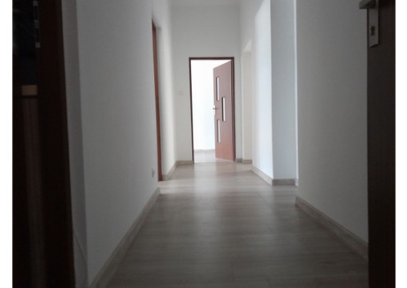 Biuro do wynajęcia - Grunwald, Poznań, 70 m², 2800 PLN, NET-15700130