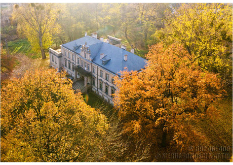 Dom na sprzedaż - Niegolewo, Opalenica (Gm.), Nowotomyski (Pow.), 800 m², 3 600 000 PLN, NET-15205