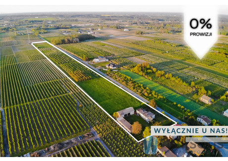 Działka na sprzedaż - Kruszew, Pniewy, 35 392 m², 1 860 000 PLN, NET-WIL514902