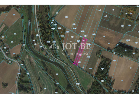 Działka na sprzedaż - Szaszorowice, Niechlów, Górowski, 5400 m², 21 600 PLN, NET-4336/4112/OGS