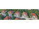 Dom na sprzedaż - Wrocław-Psie Pole, Wrocław, 189 m², 1 440 000 PLN, NET-5375/4112/ODS